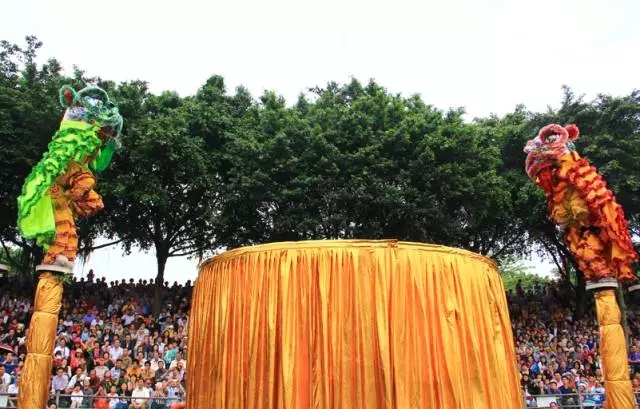 色虎看片软件化工资讯_狮王争霸